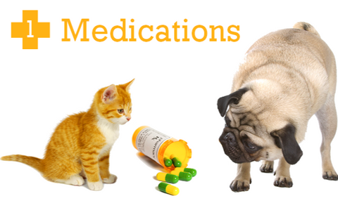 Pet meds for hot sale cats